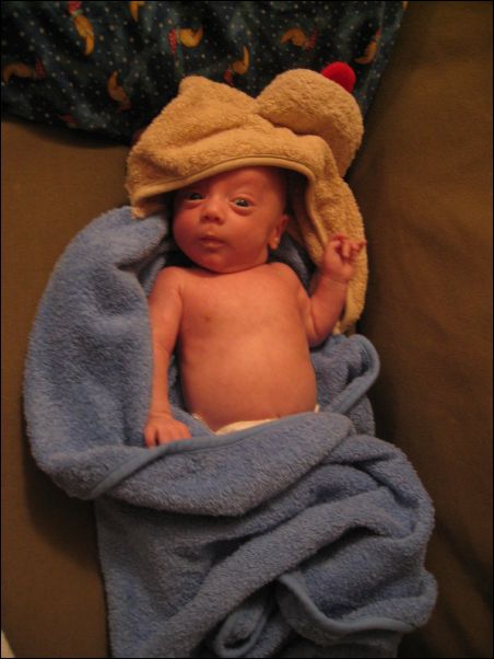 Owen & Doggy Towel